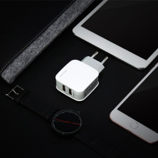 Сетевое зарядное устройство Baseus Letour Dual U Charger 2USB 2.4A Бело-Серый