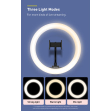Комплект блогера 3в1 Baseus Live Stream Holder 120 LED (Держатель с LED лампой 24,5 см и настольная подставка)