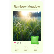 Ароматизатор в машину Baseus Margaret Car Air Freshener з ароматом Rainbow Meadow Салатовий