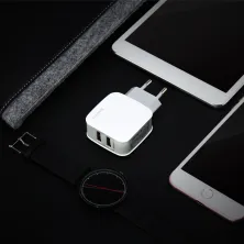 Мережевий зарядний пристрій Baseus Letour Dual U Charger 2USB 2.4A Біло-Сірий