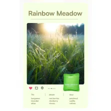 Ароматизатор в машину Baseus Margaret Car Air Freshener з ароматом Rainbow Meadow Салатовий